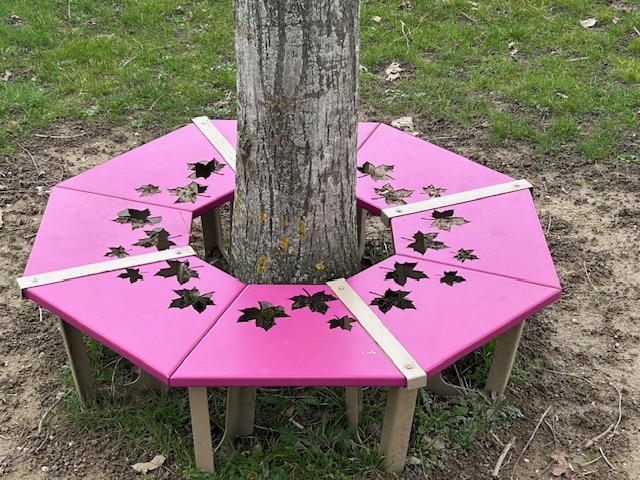 entourage d arbre ludeo dans un college a gueux