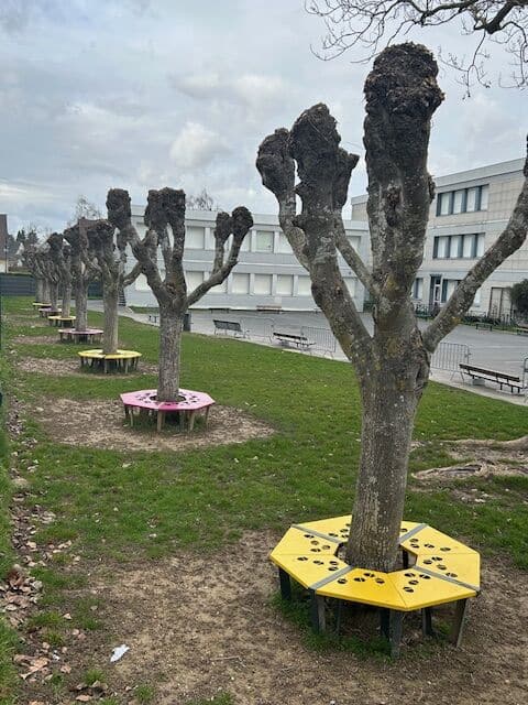 amenagement de la cour d un college mobilier fabrique en france